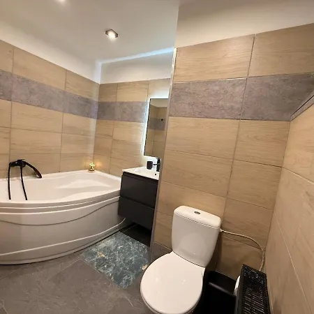 Apartment Duchcov Teplice